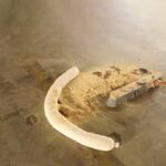 Spill tackle absorbing an oil spill