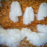 Oil mop skimmer ready to use