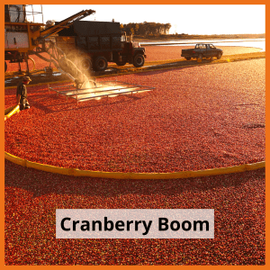 Cranberry Boom
