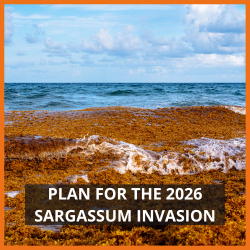Thumbnail for article about preparing for Sargassum containment