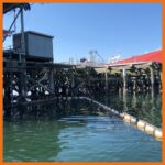 Perma Boom deployed under a pier in a marina where spilled oil and debris tend to float